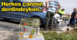 MİNİK KIZ, KAZADA KUŞUNU BIRAKMADI