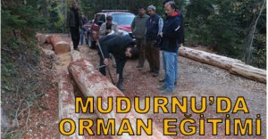 MUDURNU’DA ORMAN EĞİTİMİ