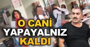 O CANİ YAPAYALNIZ KALDI