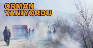 ORMAN YANGINI BÜYÜMEDEN SÖNDÜRÜLDÜ