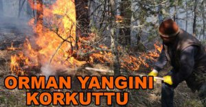 ORMAN YANGINI KORKUTTU