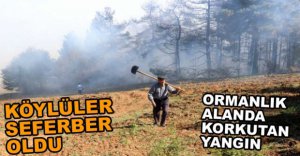 ORMAN YANGININDA 10 DÖNÜM YANDI