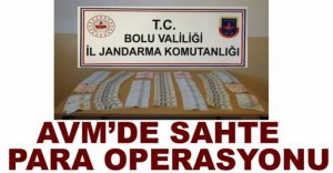 OTOYOL DOLANDIRICILARINA OPERASYON