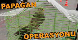 PAPAĞAN OPERASYONU
