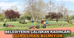 PARK VE BAHÇELERE YAZ GELİYOR
