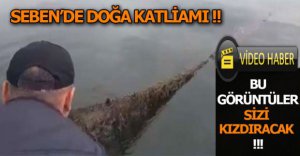SEBEN'DE DOĞA KATLİAMI !!!