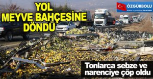 SEBZE VE NARENCİYE YÜKLÜ TIR DEVRİLDİ