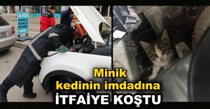 SIKIŞAN KEDİNİN İMDADINA KOŞTULAR