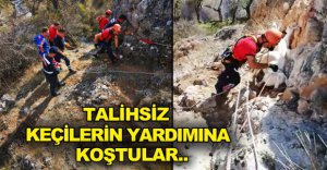TALİHSİZ KEÇİLER UÇURUMDA MAHSUR KALDI