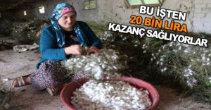 TAVUKÇULUK YAPAMADILAR AMA..