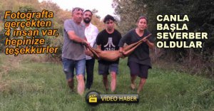 TELLERE TAKILAN KARACAYI VATANDAŞLAR KURTARDI