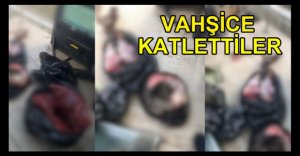 VAHŞİCE AVLANAN 2 KİŞİ YAKALANDI