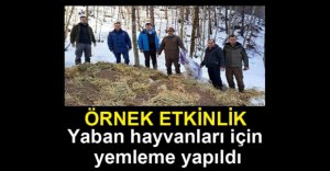 SOĞUK GÜNLERDE HAYVANLARIN İMDADINA YETİŞTİLER