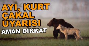 YABANİ HAYVAN UYARISI YAPILDI