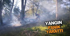 YANGIN PANİK YARATTI..