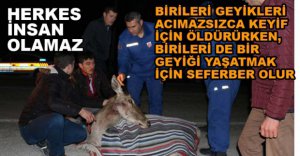 YARALI GEYİĞE VATANDAŞ ŞEVKATİ...