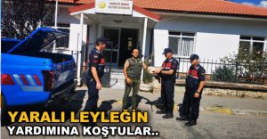 YARALI LEYLEĞİN YARDIMINA KOŞTULAR
