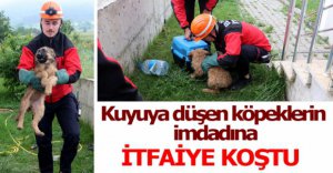 YAVRU KÖPEKLERİN İMDADINA İTFAİYE KOŞTU