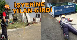 YILAN İŞYERİNE GİRDİ