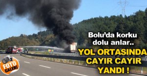 YOL ORTASINDA CAYIR CAYIR YANDI !