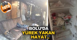 YÜREK YAKAN HAYAT..