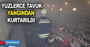 YÜZLERCE TAVUK YANGINDAN KURTARILDI