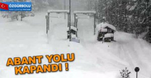 ABANT YOLU KAPANDI