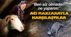 ACI MANZARAYLA KARŞILAŞTILAR
