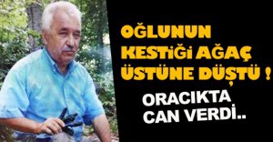 AĞACIN ALTINDA EZİLEREK CAN VERDİ