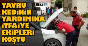 ARACIN MOTORUNA SIKIŞTI