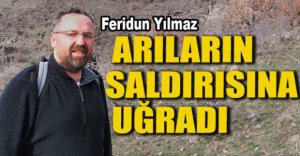 ARILARIN SALDIRISINA UĞRADI