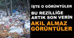 AT YAYLASINDA KORKUNÇ GÖRÜNTÜLER