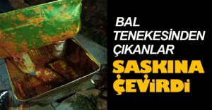 BAL TENEKESİNDEN ÇIKANLAR ŞAŞKINA ÇEVİRDİ