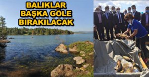BALIKLAR BAŞKA GÖLE BIRAKILACAK