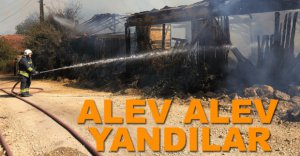 BARAKA VE ODUNLUK ALEV ALEV YANDI