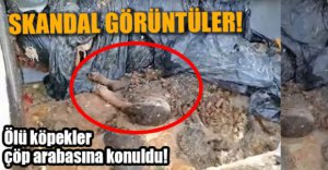 SKANDAL GÖRÜNTÜLERE BÜYÜK TEPKİ..