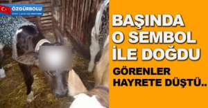 BAŞINDA O SEMBOL İLE DOĞDU