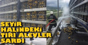 BİNLERCE LİMON ÇÖP OLDU