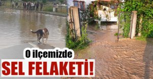 MENGEN'DE SEL FELAKETİ...