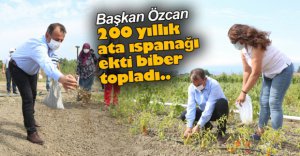 BOLU BELEDİYESİ ATA TOHUMLARINA SAHİP ÇIKIYOR