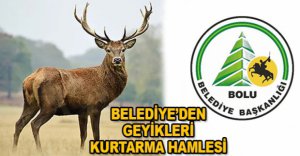 BOLU BELEDİYESİ'NDEN GEYİK İHALESİNE TEPKİ