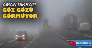 BOLU DAĞI'NDA YOĞUN SİS