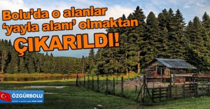 BOLU'DA 3 BÖLGE YAYLA OLMAKTAN ÇIKARILDI