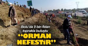 BOLU’DA 9 BİN FİDAN TOPRAKLA BULUŞTU