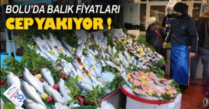 BOLU'DA BALIK FİYATLARI CEP YAKIYOR