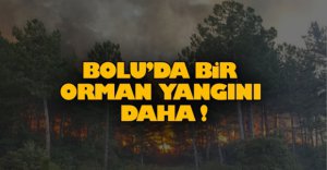 BOLU'DA BİR ORMAN YANGINI DAHA!