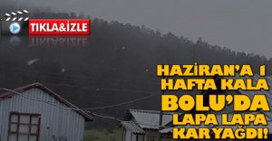 BOLU'DA LAPA LAPA KAR YAĞDI