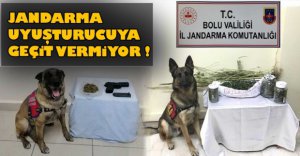 BOLU'DA UYUŞTURUCUYA GEÇİT YOK