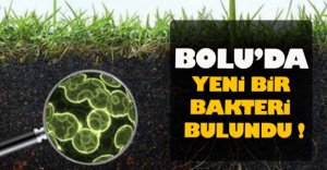 BOLU'DA YENİ BİR BAKTERİ KEŞFEDİLDİ