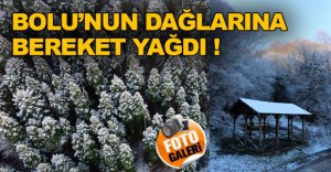 BOLU'NUN DAĞLARINA BEREKET YAĞDI